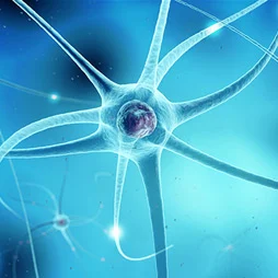 Pain treatment articles: Review of Sympathetic Blocks
